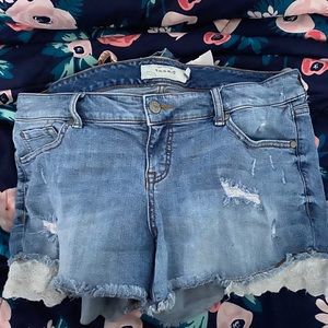 Torrid shorts